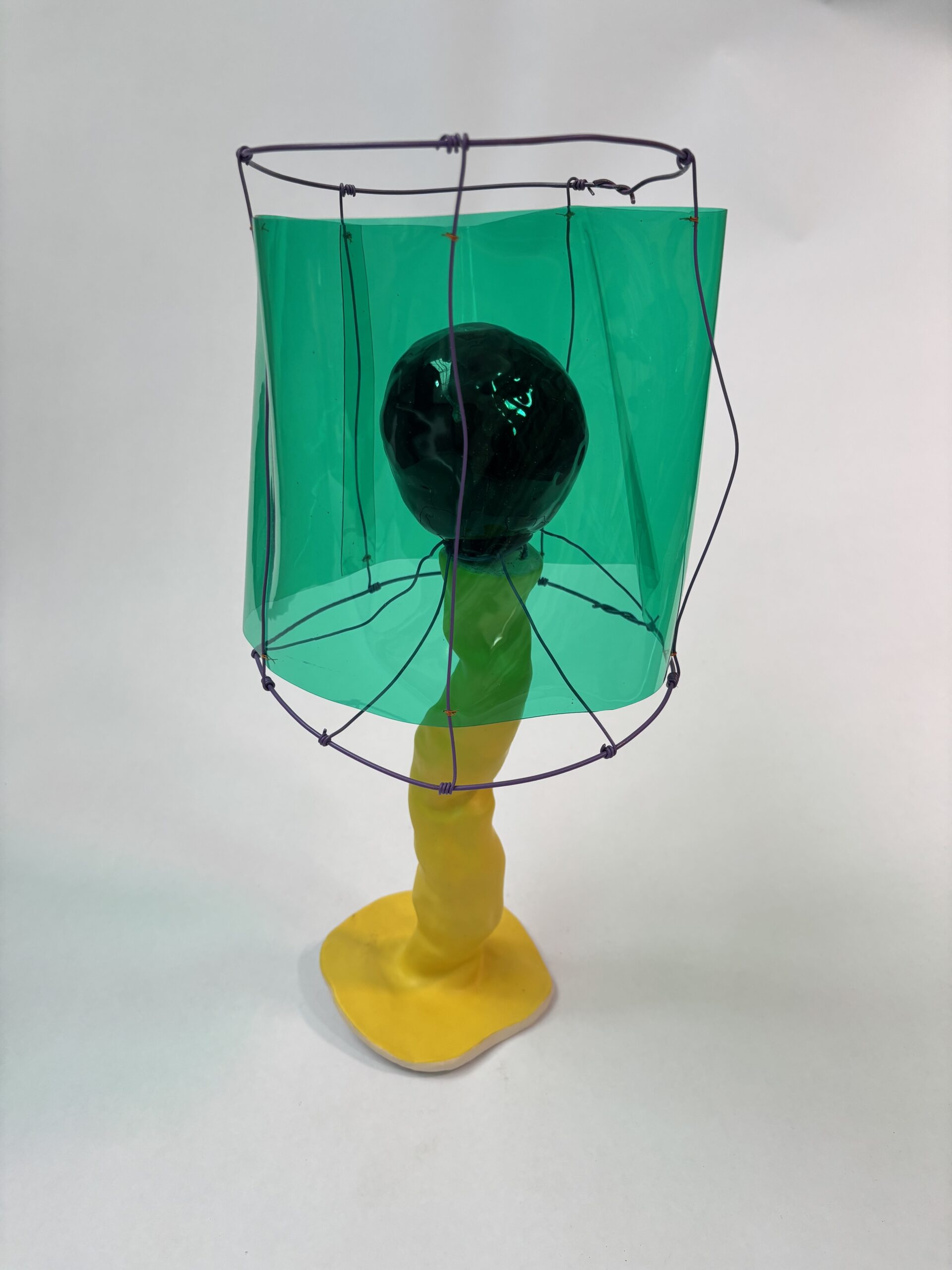 Portfolio Image