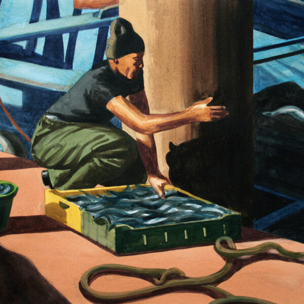 Portfolio Image