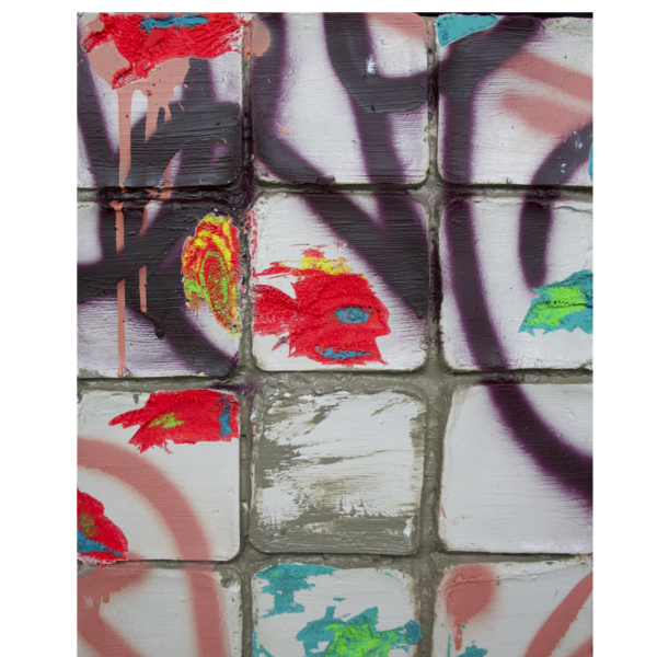 Portfolio Image