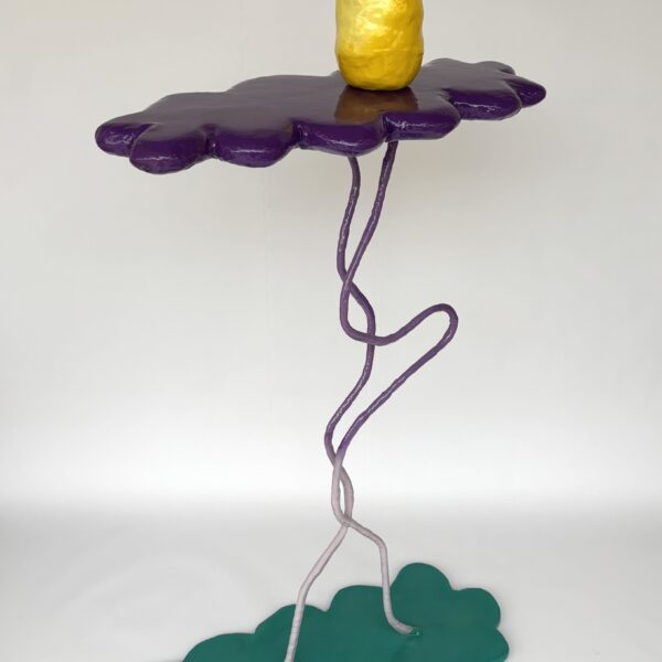 Portfolio Image