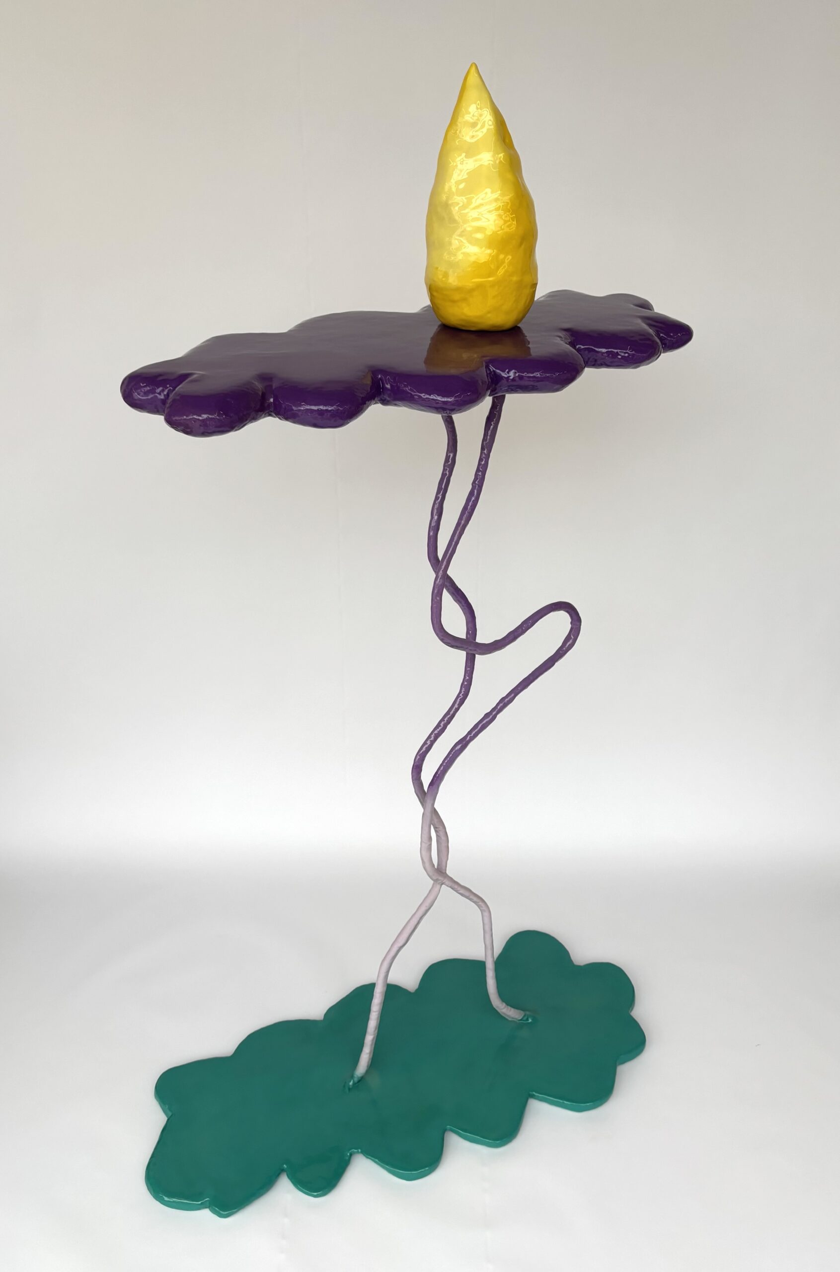 Portfolio Image