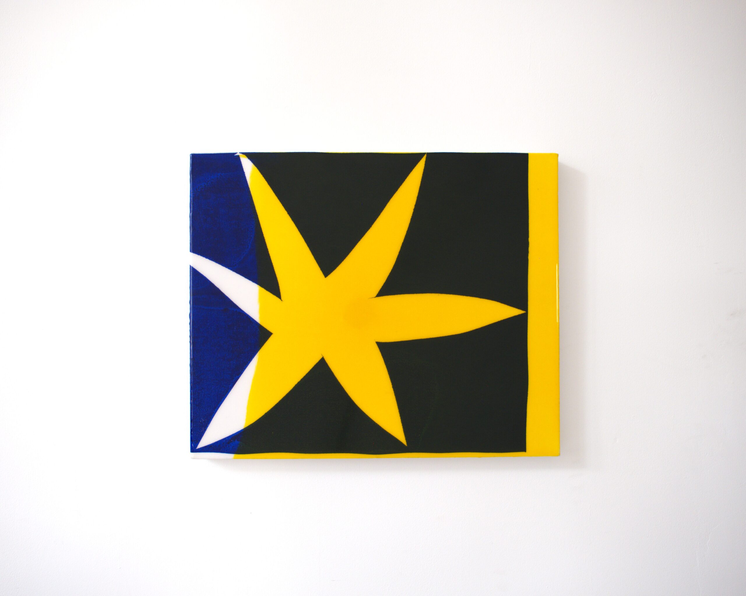 Portfolio Image